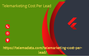 Telemarketing Cost Per Lead